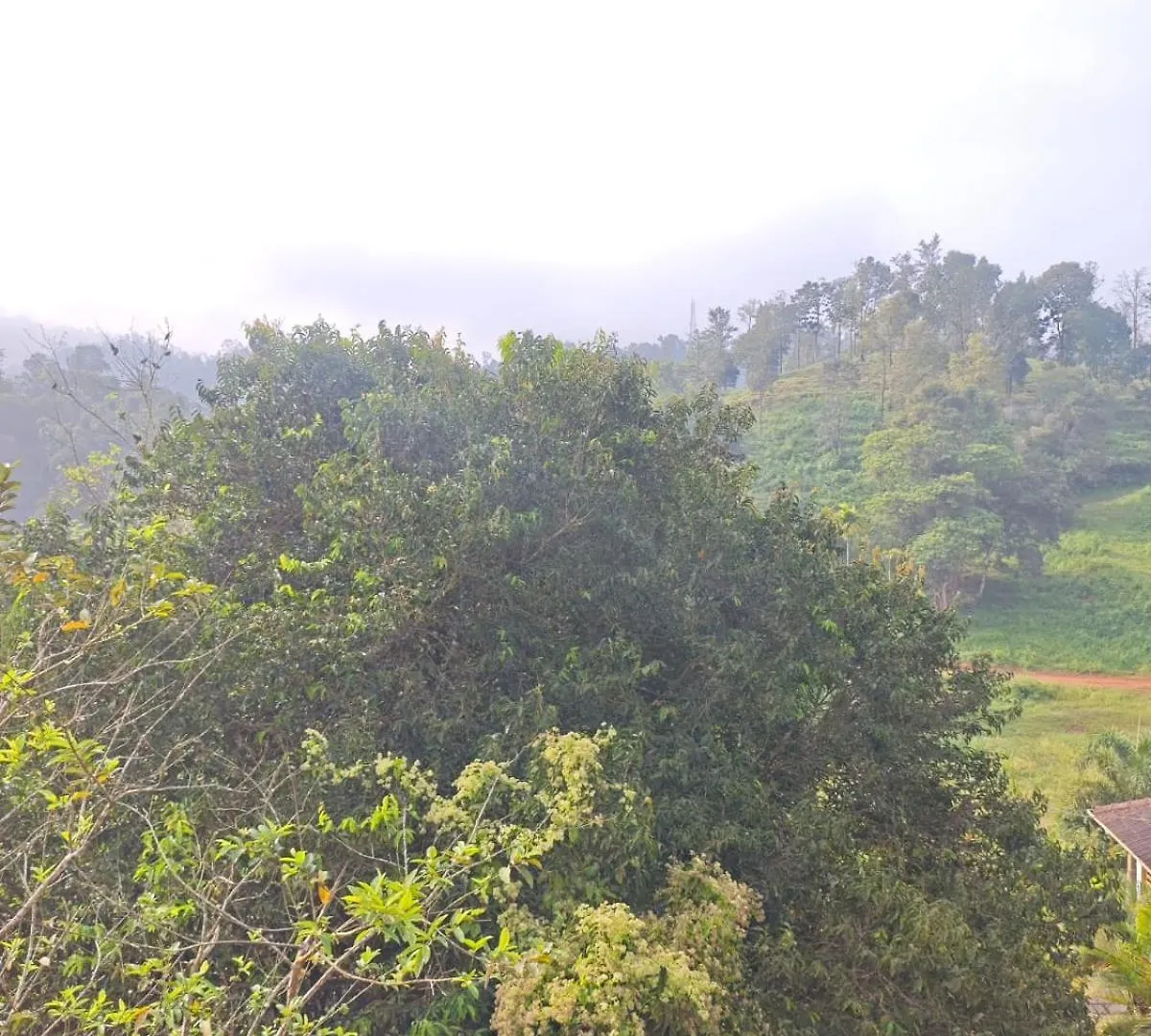 Girassol The Hill Villa Vythiri