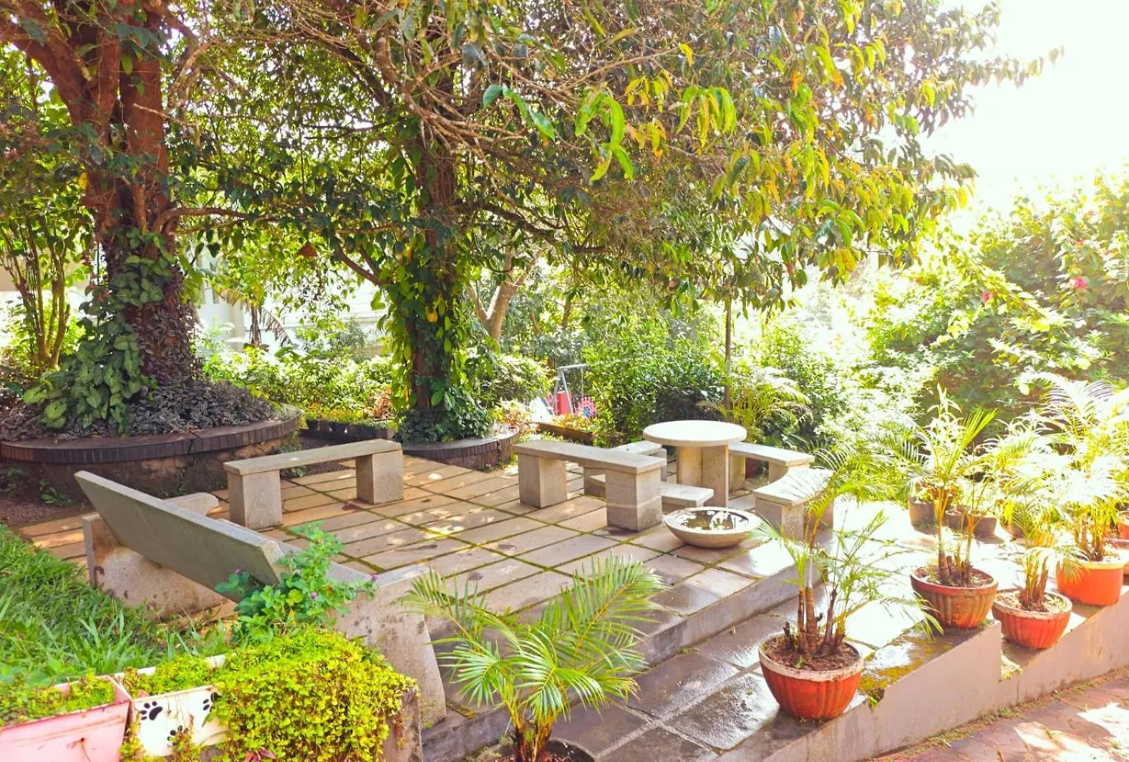 Bed & Breakfast Girassol The Hill Villa Vythiri