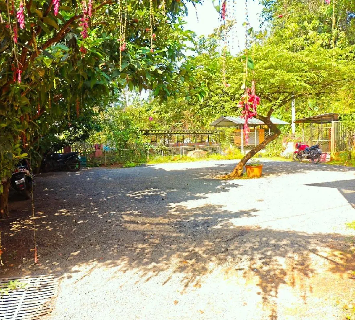 Bed & Breakfast Girassol The Hill Villa Vythiri India